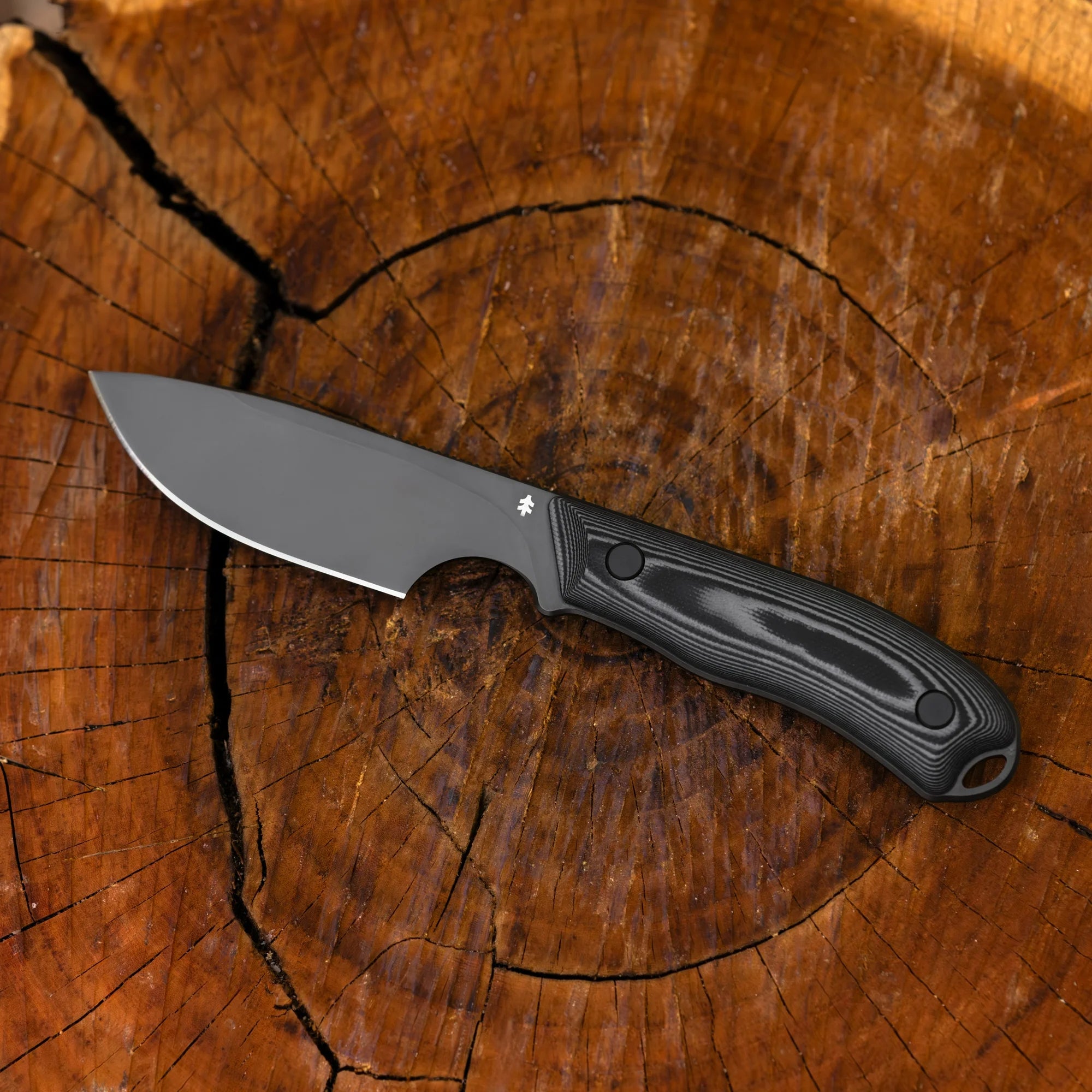 Halten - Full-Tang-Dolch